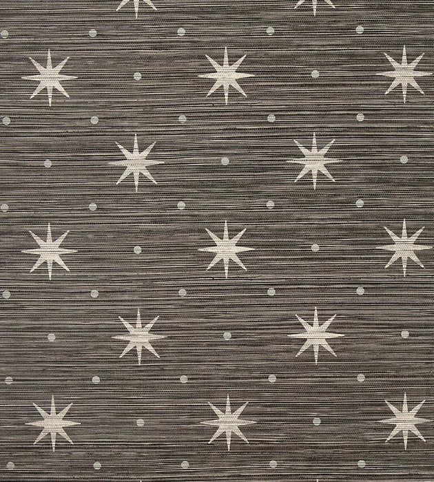 Hinson Big Trixie Black Wallpaper Sample WHN440020005