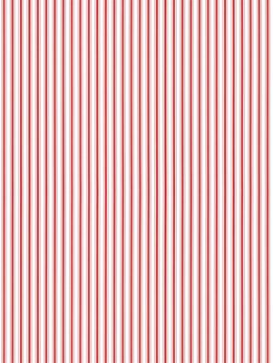 Hinson Johnson Stripe Peppermint Wallpaper WHNWP88596D0005