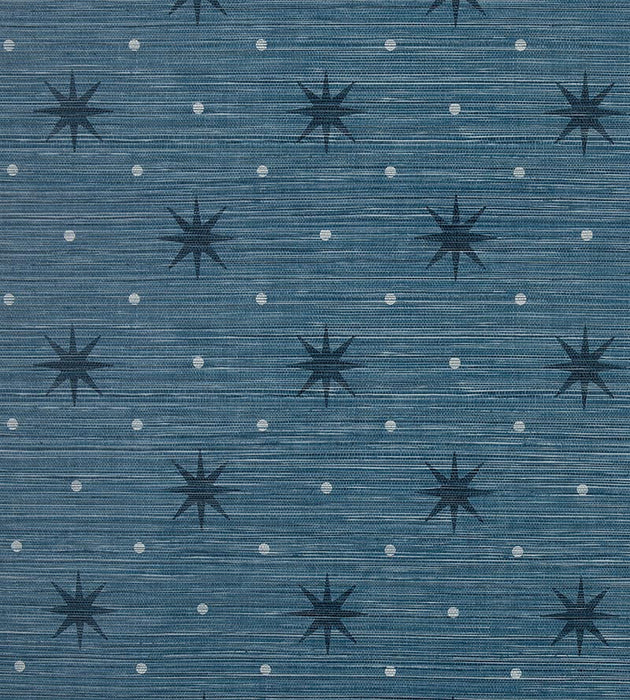 Hinson Big Trixie Navy Wallpaper Sample WHN440020006