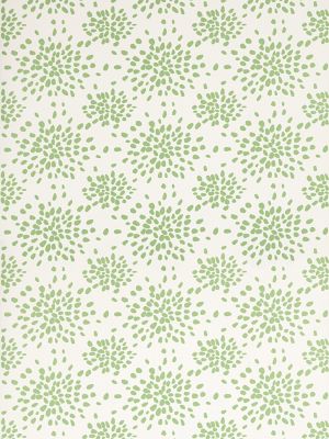 Hinson Fireworks Pear Wallpaper Sample WHNP1020D0007