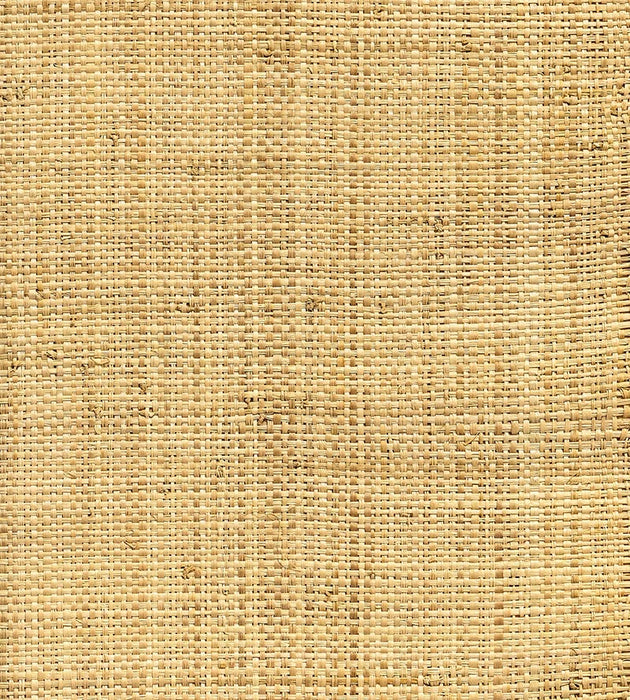 Hinson Hinson Madagascar - Coarse Natural Wallpaper WHNY039000AB