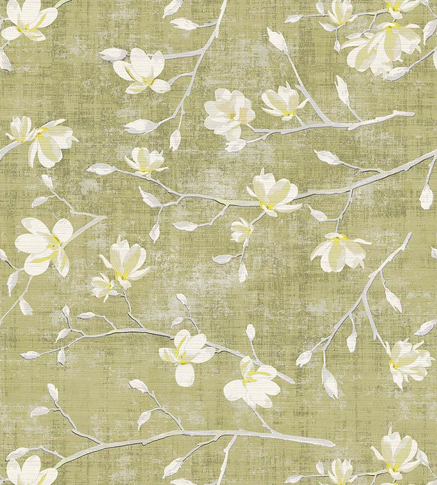 Nicolette Mayer Bloom Wheat Wallpaper WNMBLOO0001