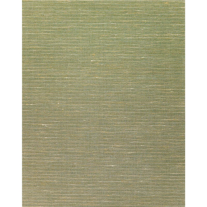 Winfield Thybony Althea Plain Olive Wallpaper Sample WNS5576.WT.0