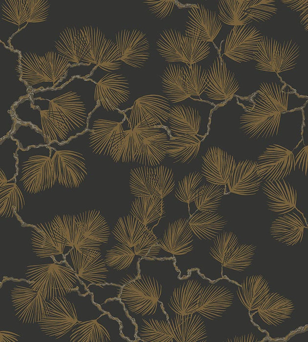 Sandberg Pine Black Wallpaper WSB08040099