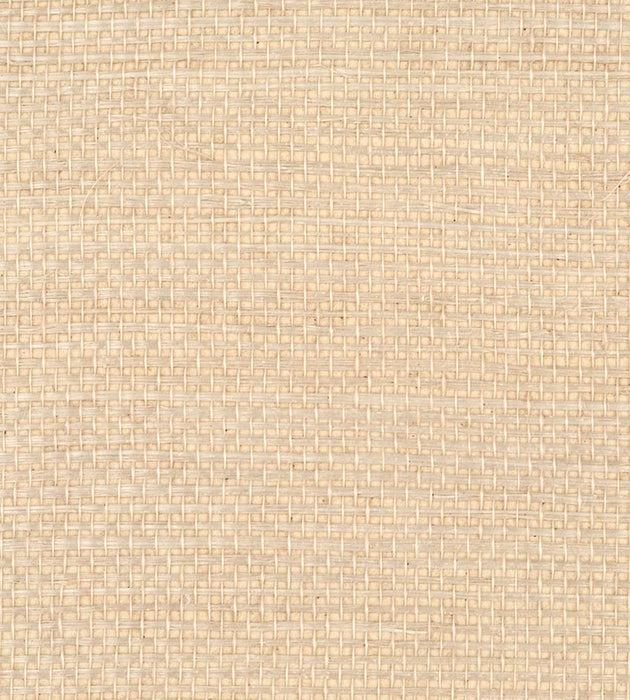 Scalamandre Simply Sisal Cream Wallpaper Sample WTWSIMP0421