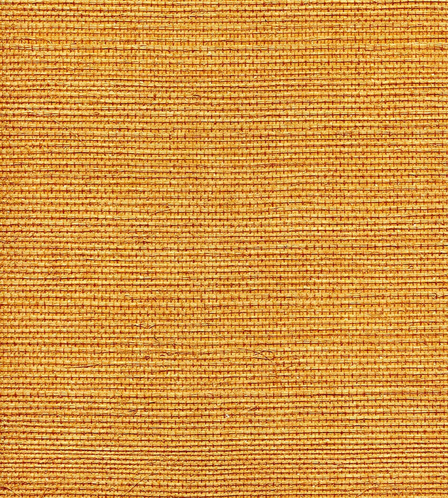 Scalamandre Organic Sisal Tuscan Wallpaper Sample WTW01GT39