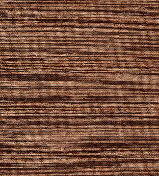 Scalamandre Organic Sisal Brush Wallpaper Sample WTW06GT39