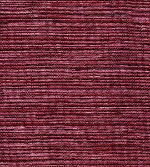 Scalamandre Organic Sisal Luscious Wallpaper Sample WTW30GT39