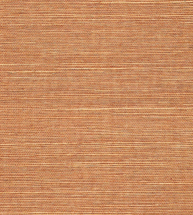 Scalamandre Organic Sisal Java Wallpaper Sample WTW34GT39