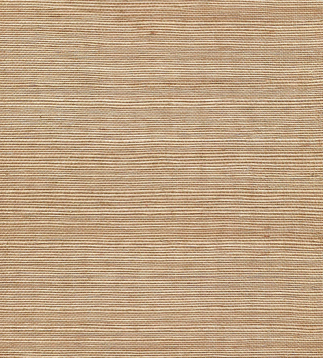 Scalamandre Organic Sisal Mink Wallpaper Sample WTW41GT39