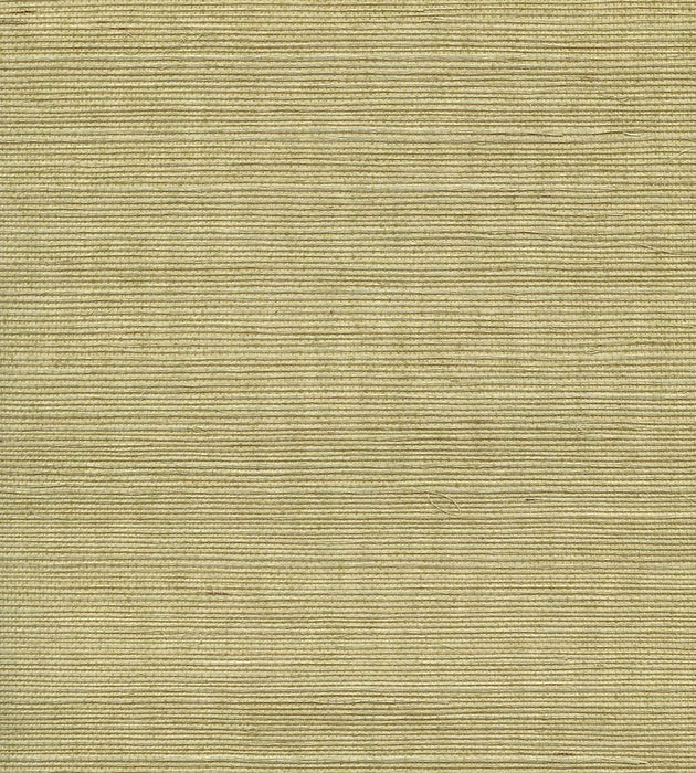 Scalamandre Organic Sisal Springtime Wallpaper Sample WTW51GT39