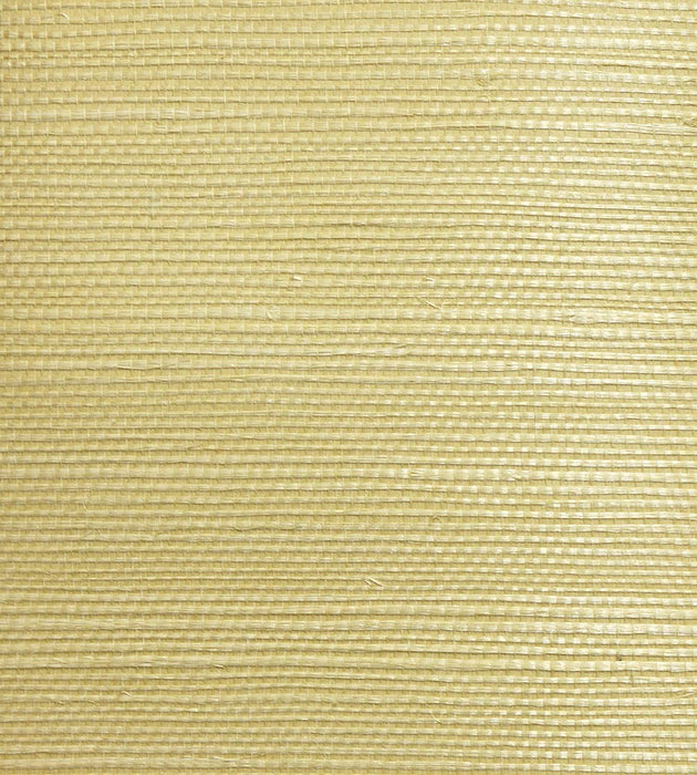Scalamandre Organic Sisal Leaf Wallpaper Sample WTW64GT39