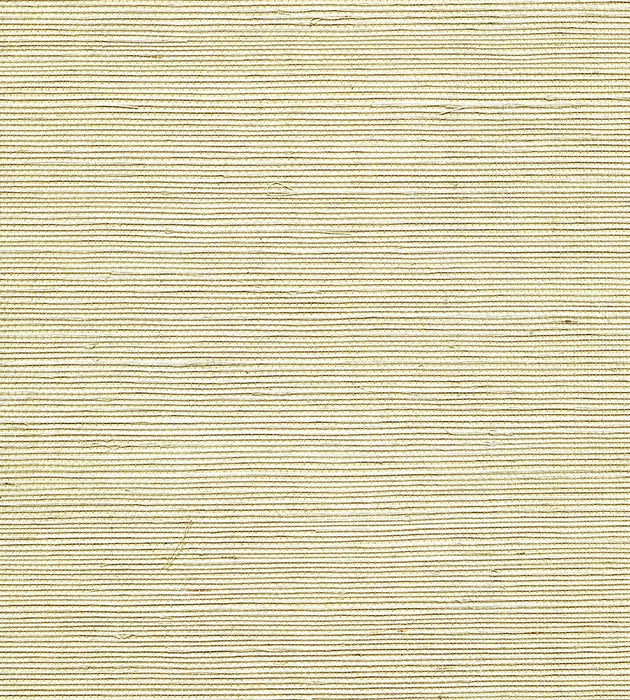 Scalamandre Organic Sisal Sea Spray Wallpaper Sample WTW77GT39