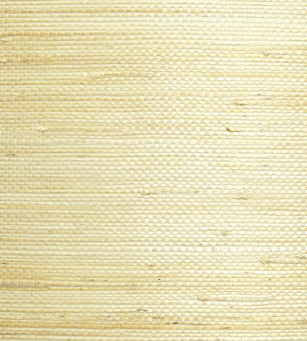 Scalamandre Natural Jute Cotton Wallpaper Sample WTW35SG56
