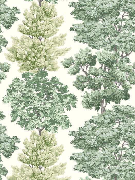 Scalamandre Central Park Green Wallpaper WWWP88583D0001