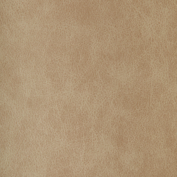 Kravet Design ZENON.11.0 Fabric Sample