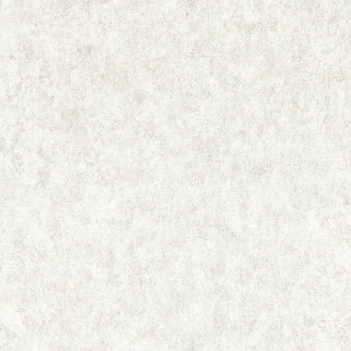 Clarke & Clarke Marmor Ash Wp Wallpaper Sample ZW0208/01.CAC.0