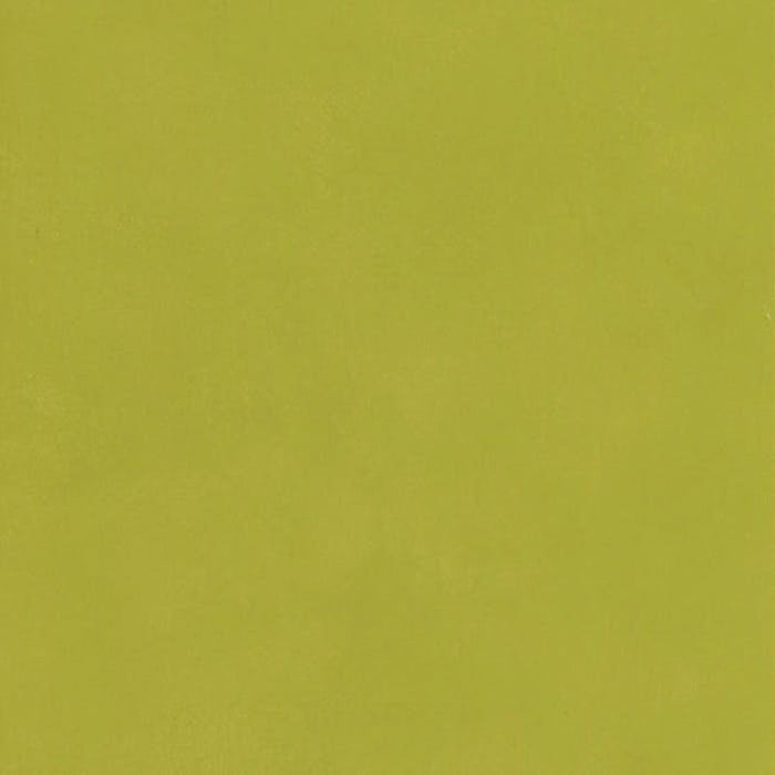 Andrew Martin Japan Citrus Wallpaper Sample AMW10059.3.0