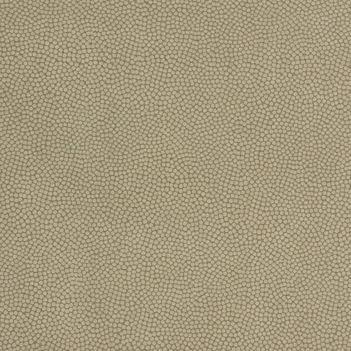 Kravet Couture Beautymark Greystone Fabric BEAUTYMARK.106.0