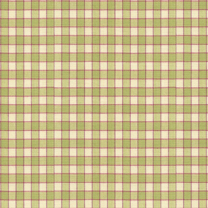 Brunschwig & Fils La Seyne Check Apple Fabric Sample BR-89318.3.0