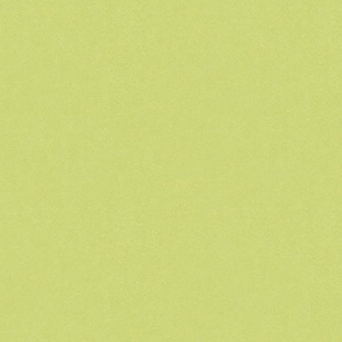 Brunschwig & Fils Autun Mohair Velvet Celery Fabric Sample BR-89778.404.0