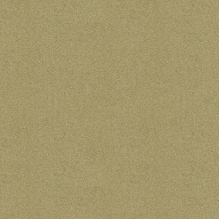 Brunschwig & Fils Autun Mohair Velvet Dove Fabric Sample BR-89778.901.0