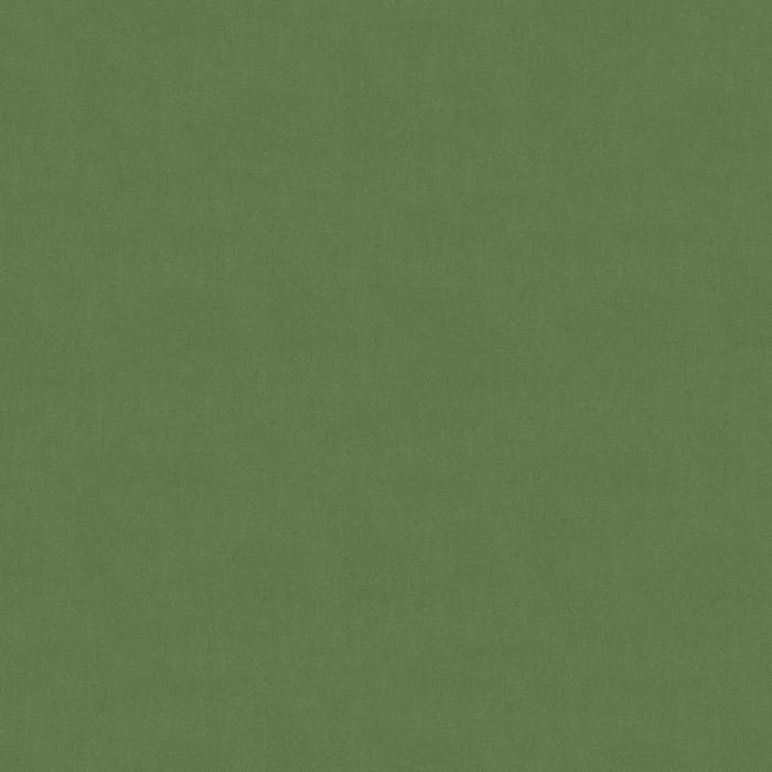 Brunschwig & Fils Lubeck Cotton Velvet Mint Fabric Sample BR-89779.410.0