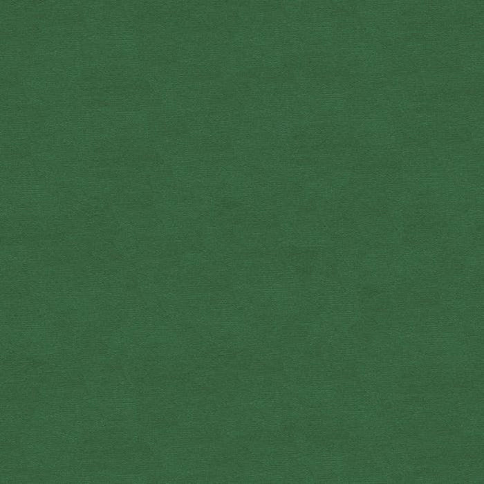 Brunschwig & Fils Lubeck Cotton Velvet Ivy Fabric Sample BR-89779.440.0