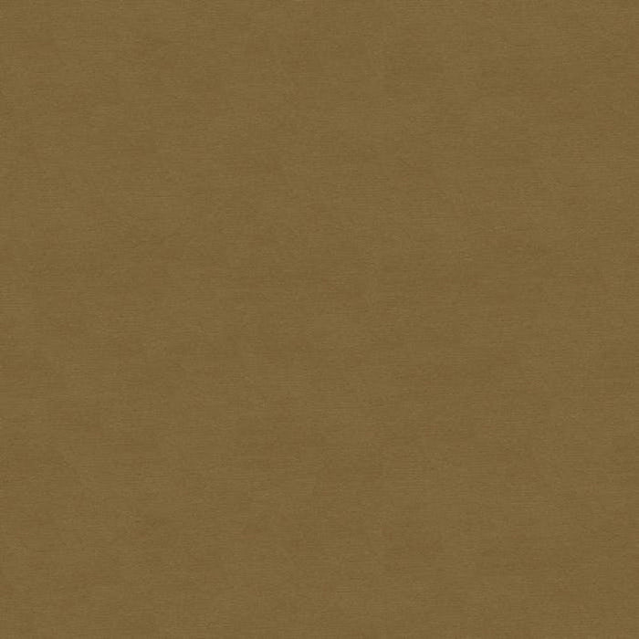 Brunschwig & Fils Lubeck Cotton Velvet Fawn Fabric Sample BR-89779.812.0