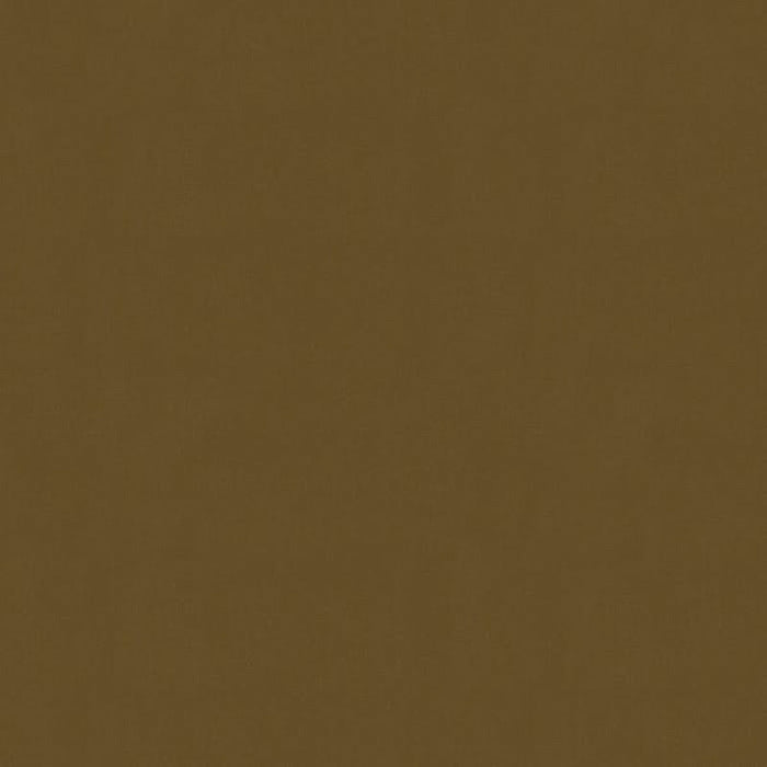 Brunschwig & Fils Lubeck Cotton Velvet Hazlnut Fabric Sample BR-89779.835.0