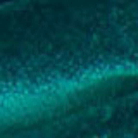 Zimmer + Rohde Infinity Plus 666 Fabric Sample 10660666