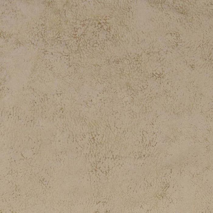 Clarke & Clarke Nola Stone Fabric Sample F1296/15.CAC.0