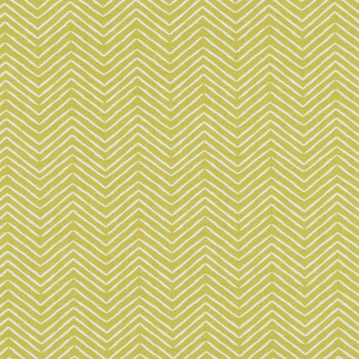 Clarke & Clarke Pica Citrus Fabric Sample F1378/03.CAC.0