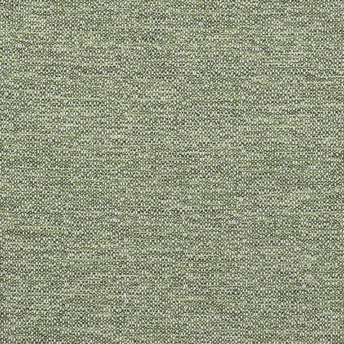Gaston Y Daniela In Verde Fabric Sample GDT5508.005.0