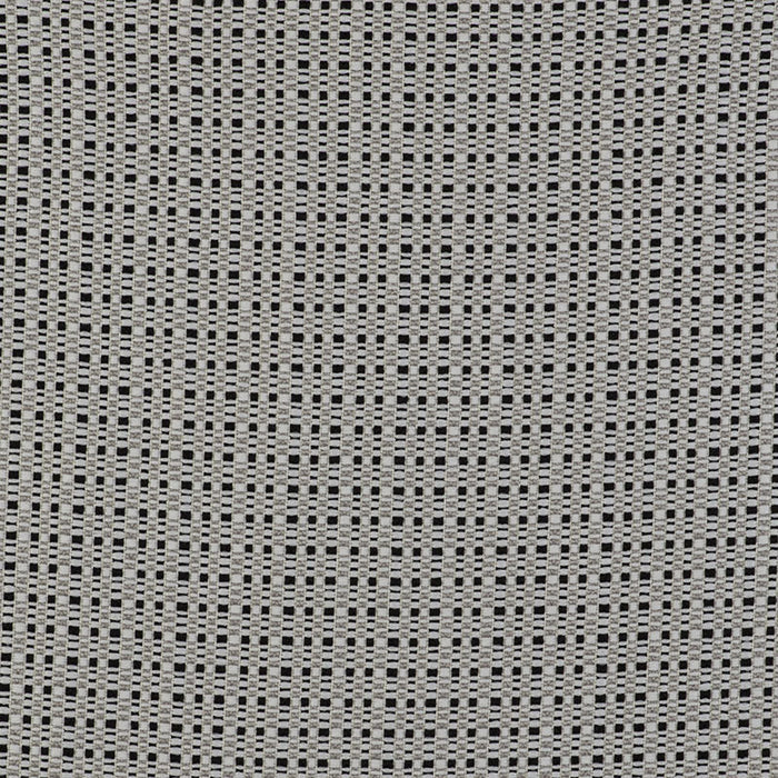 Gaston Y Daniela Out Blanco/Negro Fabric Sample GDT5510.004.0