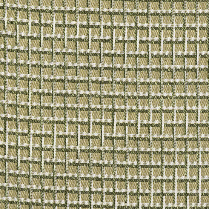 Gaston Y Daniela Rejas Verde Fabric Sample GDT5513.003.0