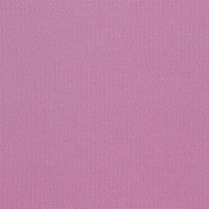 Gaston Y Daniela Donald Frambuesa Fabric Sample GDT5384.4.0