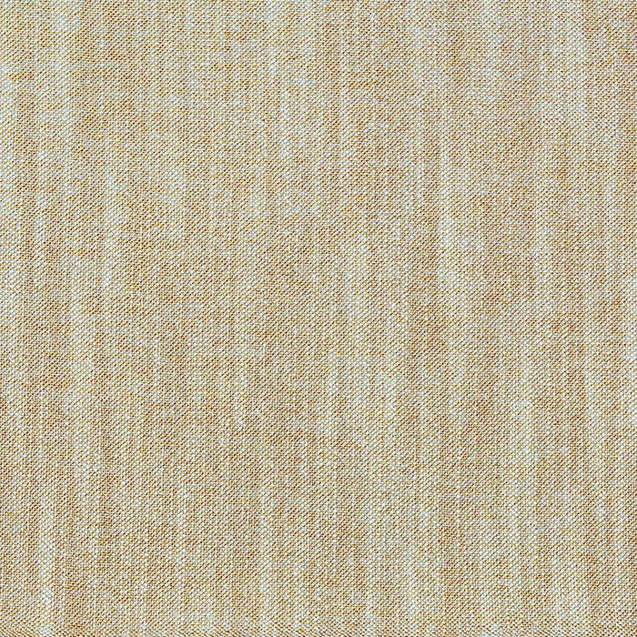 Gaston Y Daniela Uganda Arena Fabric Sample GDT5389.4.0