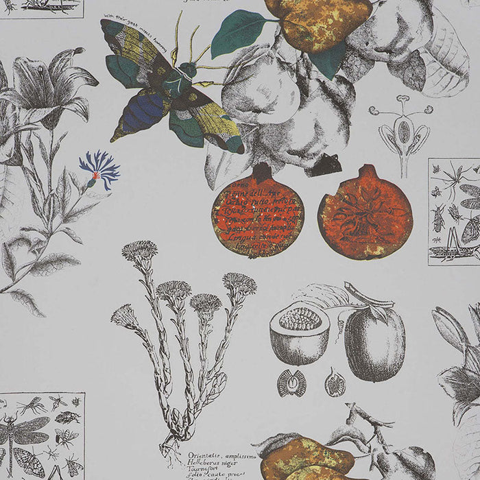 Gaston Y Daniela Linneo Original Wallpaper Sample GDW4848.001.0