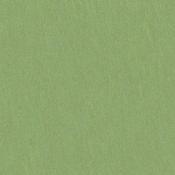 Brunschwig & Fils Shots Tarragon Fabric Sample JAG-50020.3003.0