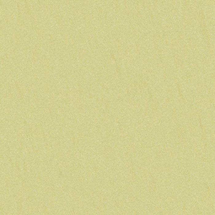 Brunschwig & Fils Shots Spanish Moss Fabric Sample JAG-50020.3030.0