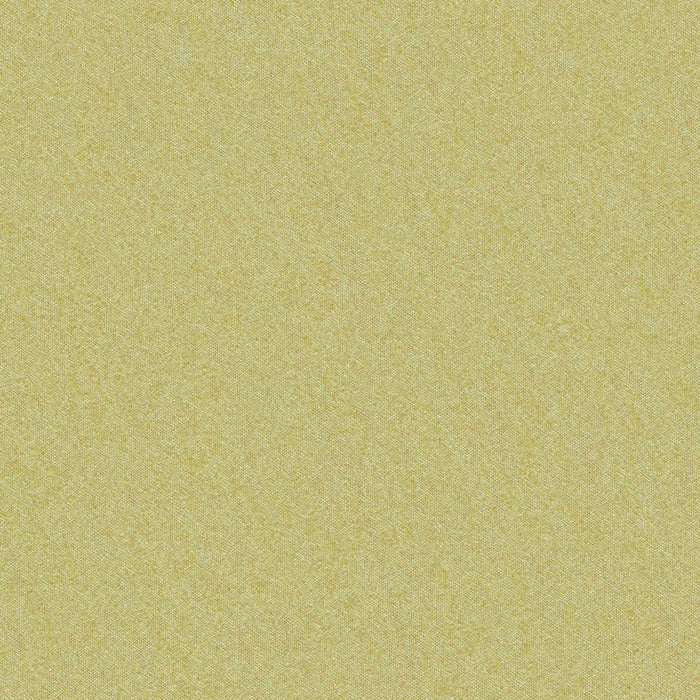 Brunschwig & Fils Shots Bronzetto Fabric Sample JAG-50020.4030.0