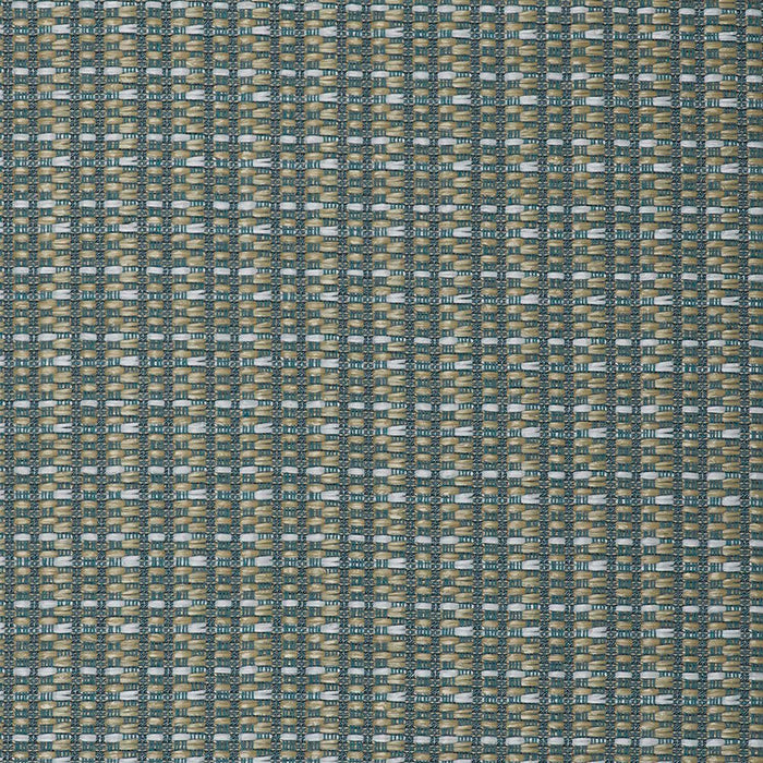 Gaston Y Daniela Mauregato Agua Fabric Sample LCT1002.002.0