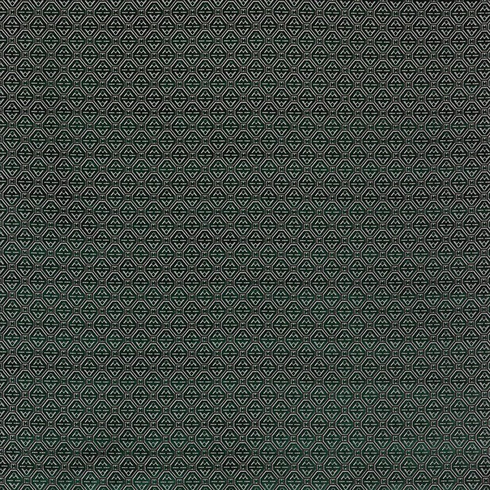 Gaston Y Daniela Calabrez Verde Fabric Sample LCT5358A.003.0