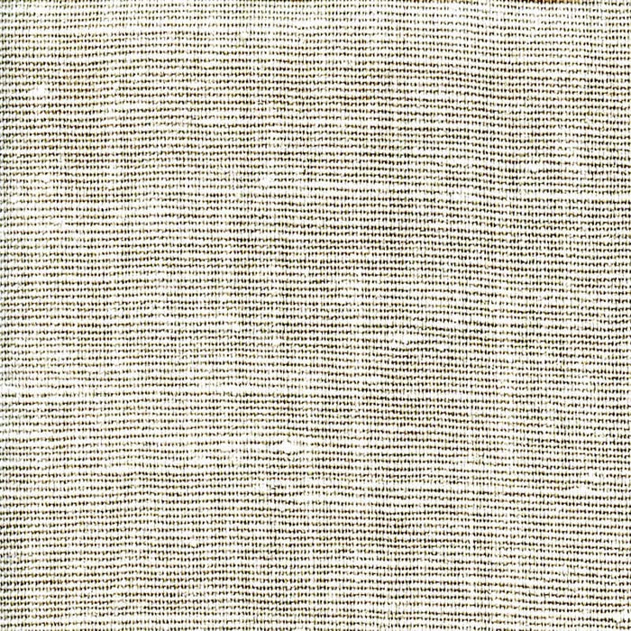 Ast Liege-297 Pewter Fabric Sample