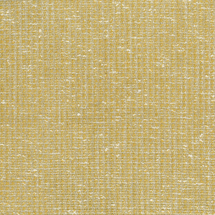 Nina Campbell Bulet 6 Sample Sample NCF4471-06