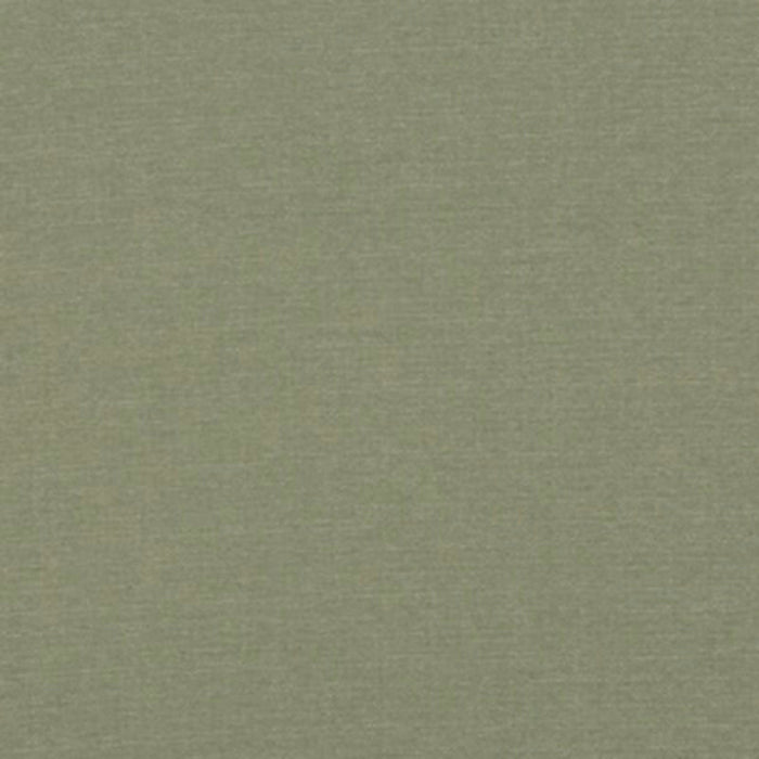 Baker Lifestyle Lansdowne Fern Fabric Sample PF50413.775.0