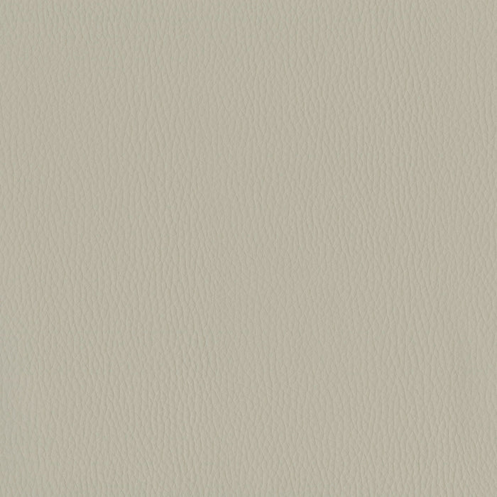 Brentano Triton Platinum Fabric Sample 6823-03