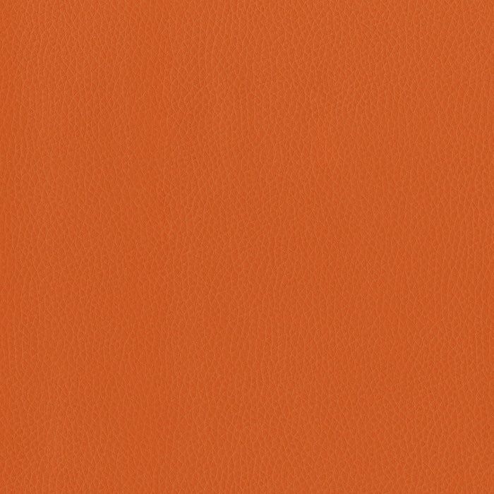 Brentano Triton Clementine Fabric Sample 6823-09