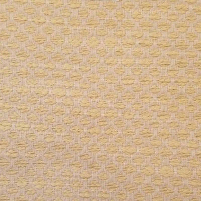 Templeton Maracay Cream Fabric Sample T1046-01